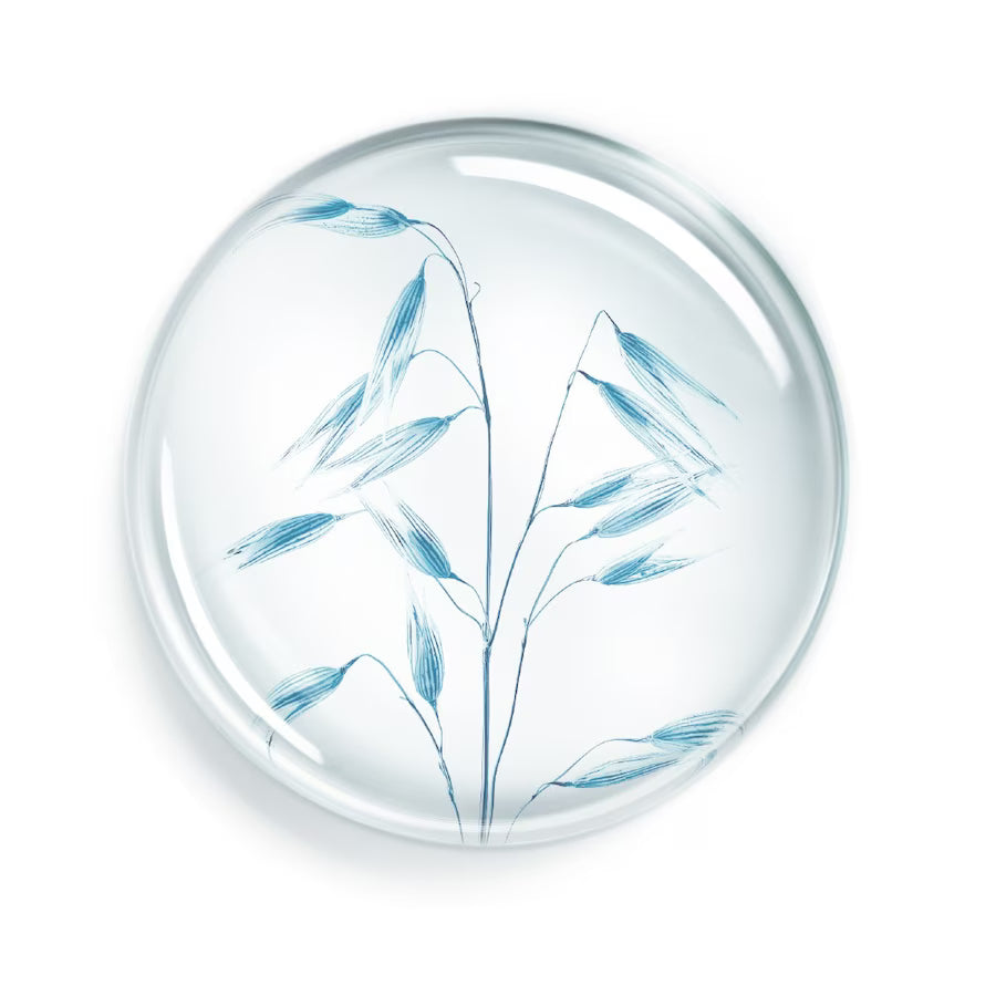 Annayake 24H Soin de douche 400 ml - Duschgel